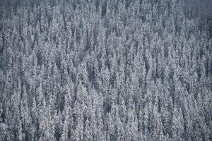 Verbier-hotel-limousine-transfer