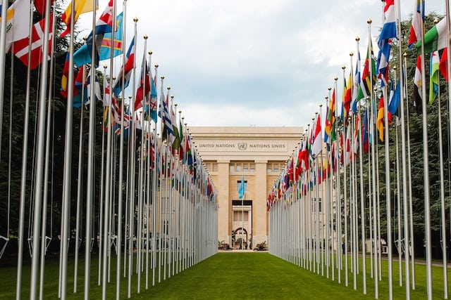 Top 5 of NGO in Geneva — Swiss Limousine Service