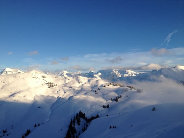 Transportation from Geneva Airport to Gstaad: Best of Options — Swiss Limousine Service