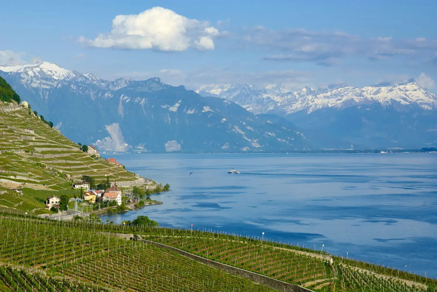 Saint-Saphorin lakeside village in Lavaux UNESCO vineyards — private wine tour from Geneva