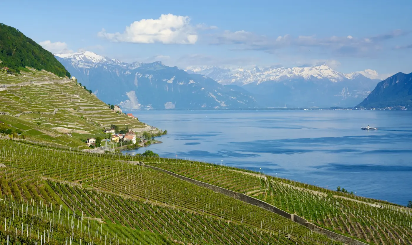 Lavaux vineyard terraces and Lake Geneva panorama — UNESCO World Heritage wine region